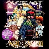 Aquemini sleeve
