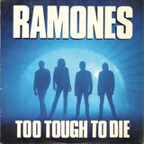 Too Tough To Die sleeve